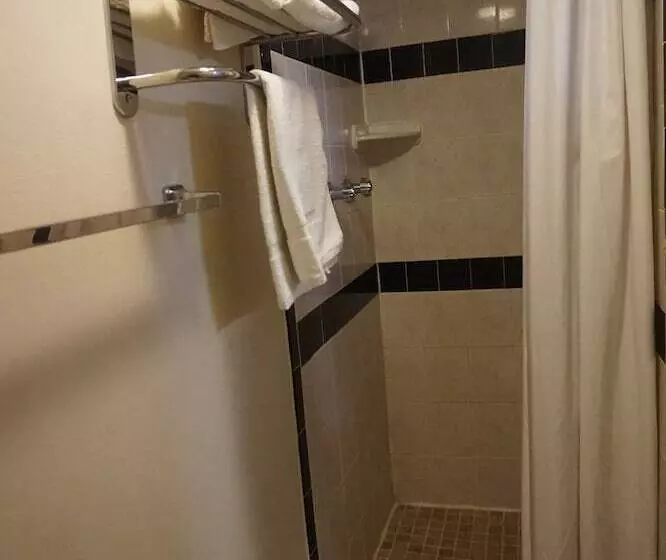 ホテル Pearsall Executive Inn