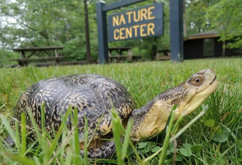 リゾートホテル Potawatomi Inn & Cabins