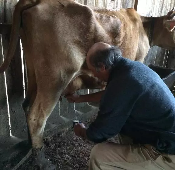 Majatalo Pousada Morro Grande