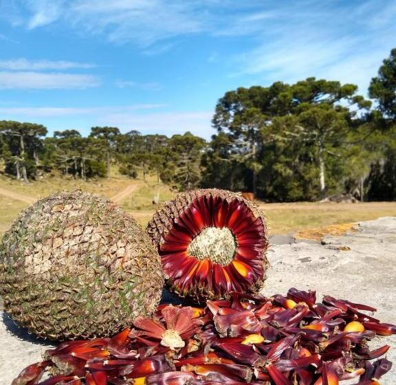 펜션 Pousada Morro Grande