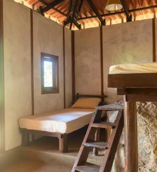 ペンション The Woods   Birding, Farming & Eco Living