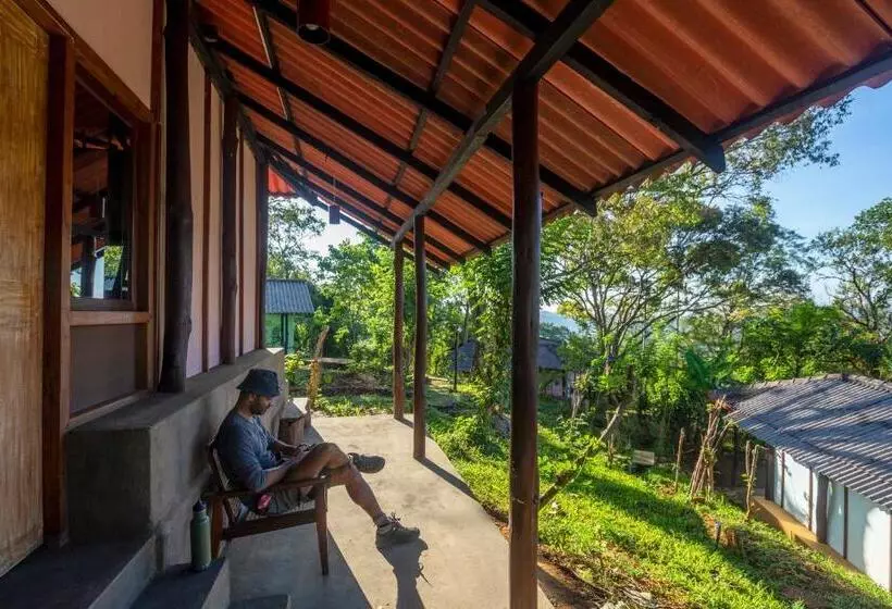 ペンション The Woods   Birding, Farming & Eco Living