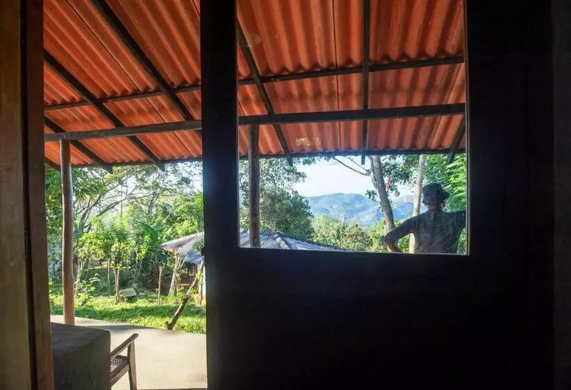 ペンション The Woods   Birding, Farming & Eco Living