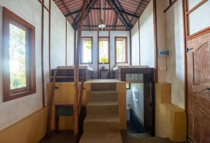 ペンション The Woods   Birding, Farming & Eco Living