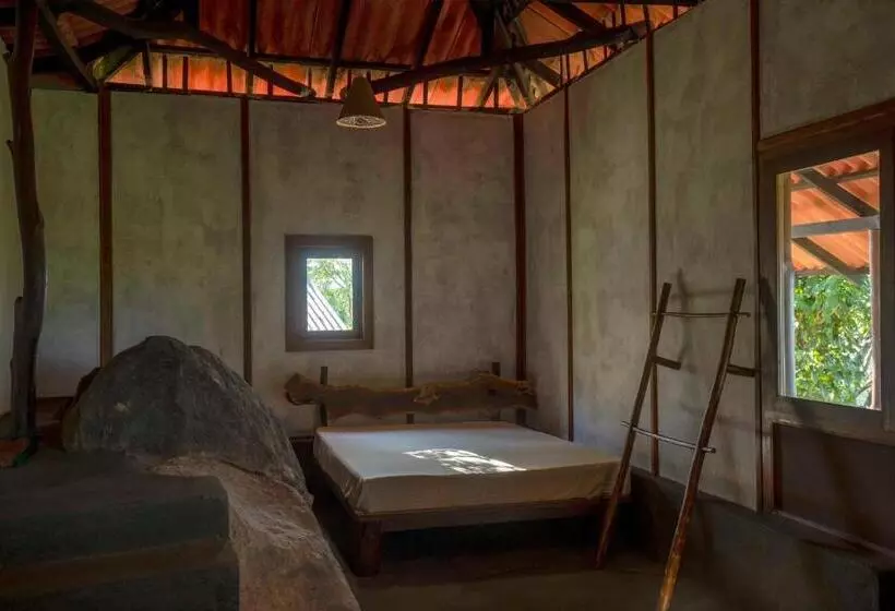 ペンション The Woods   Birding, Farming & Eco Living