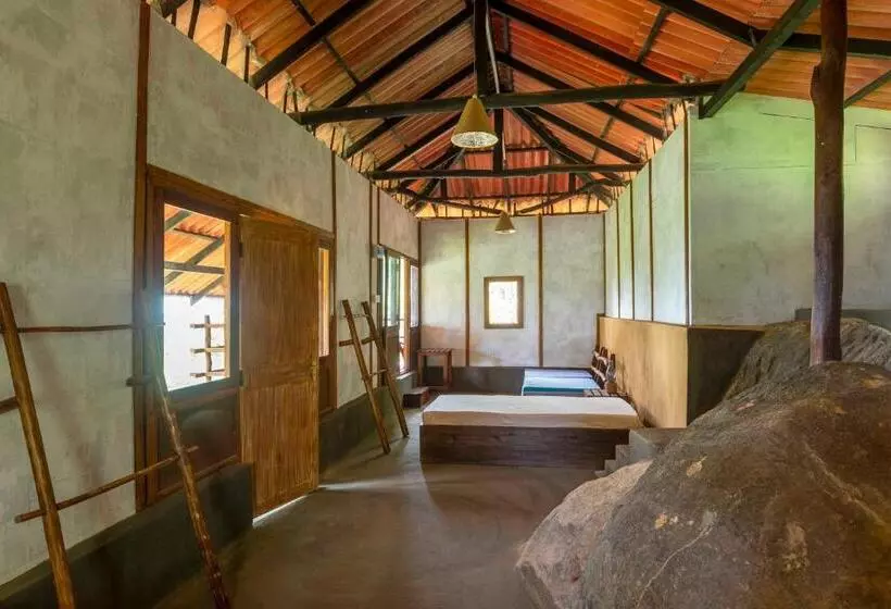 ペンション The Woods   Birding, Farming & Eco Living