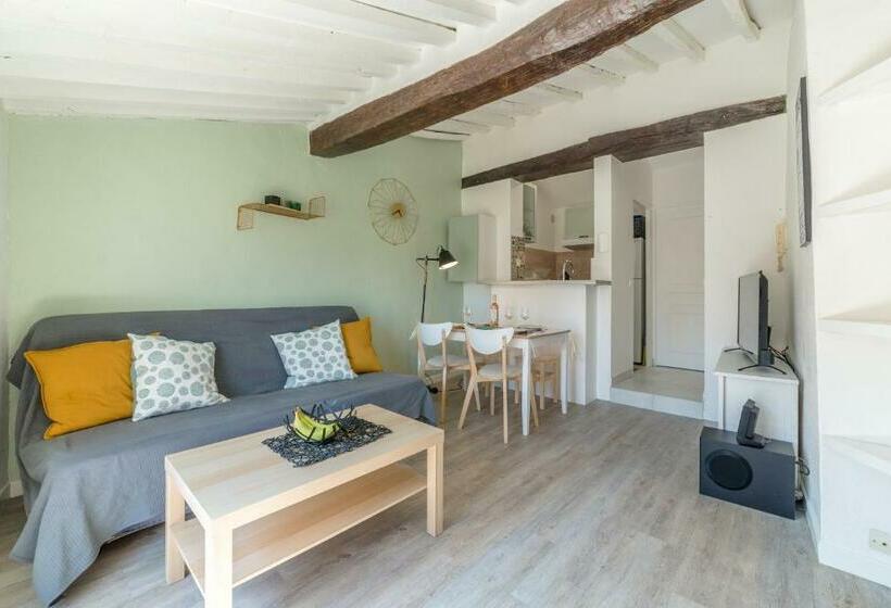 Apt Terrasse Centre Historique