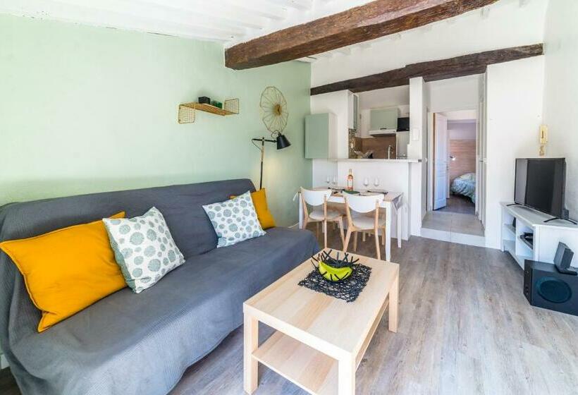 Apt Terrasse Centre Historique