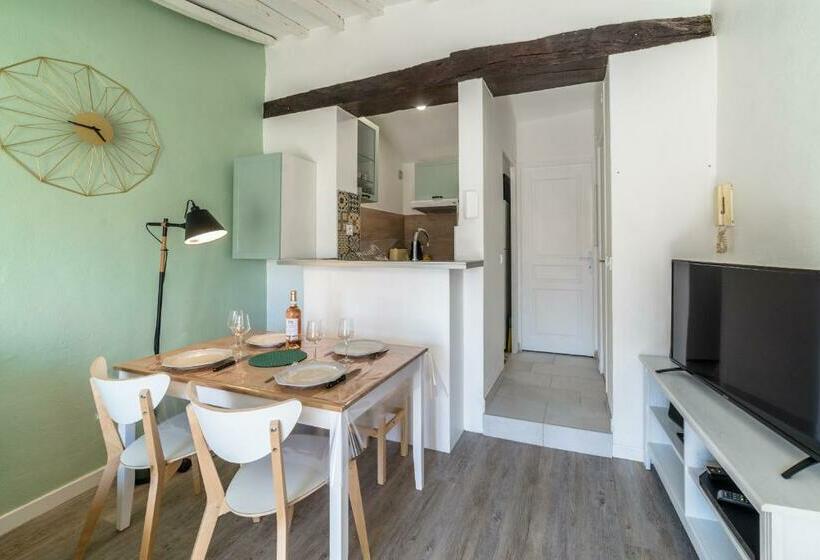 Apt Terrasse Centre Historique