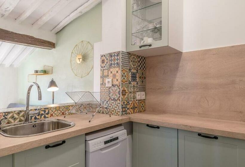 Apt Terrasse Centre Historique