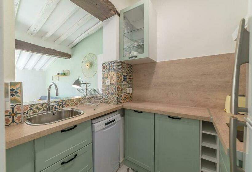 Apt Terrasse Centre Historique