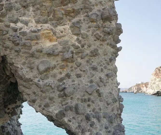 پانسیون The Elephant Goupa Beach