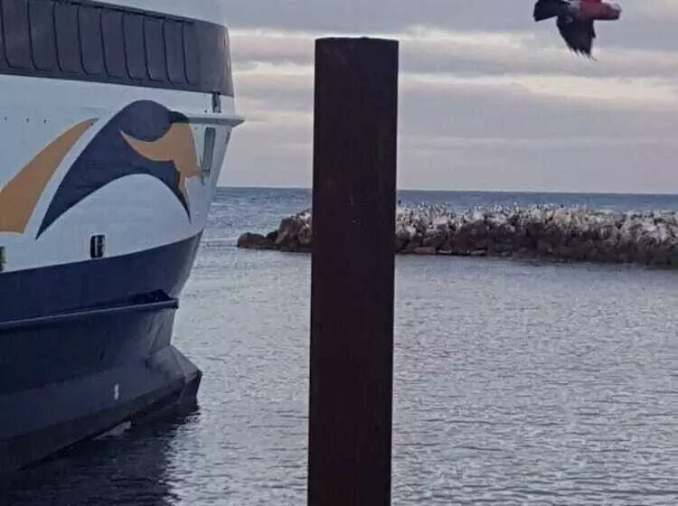 Trading Places Kangaroo Island