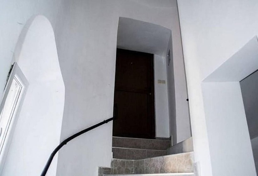 Veronika Group Radićeva