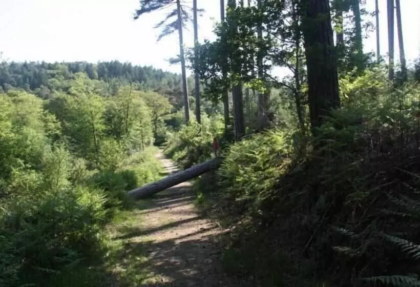 Aamiaismajoitus (B&B) La Vieille Ferme