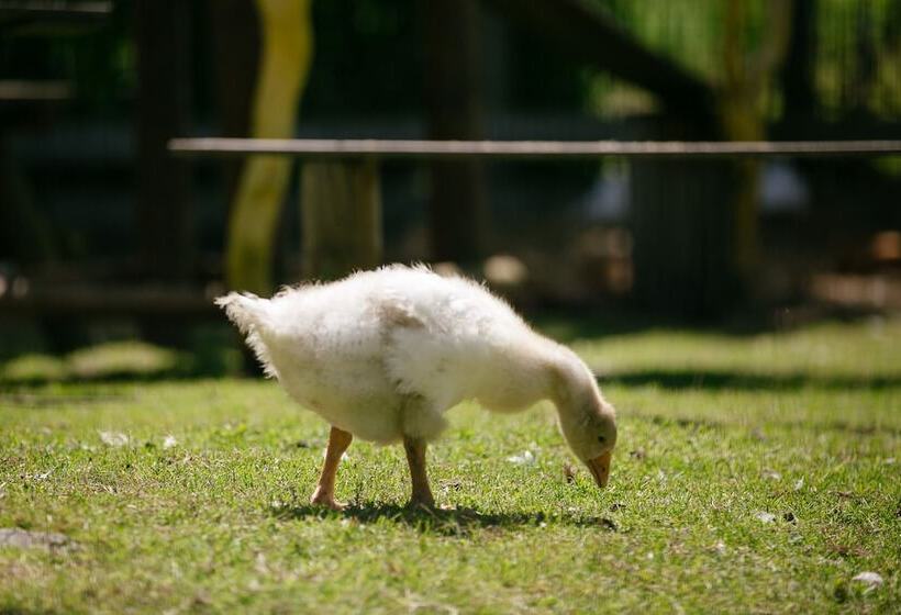 فندق Camping Saint Michel