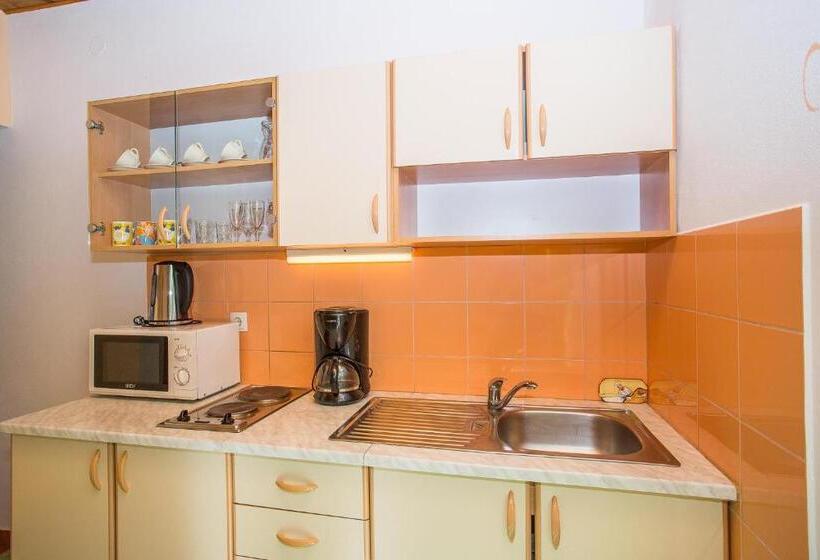 펜션 Apartments Bionda