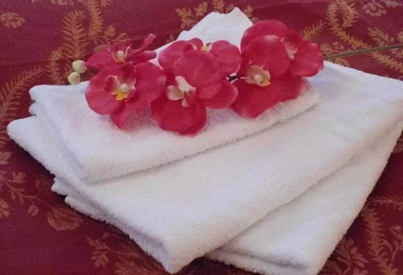 هتل B&b Exclusive