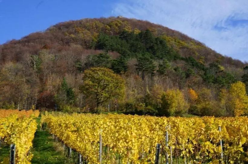 Hotelli Beurener Hof