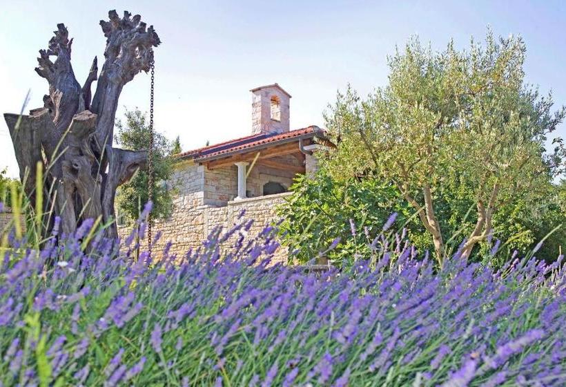 בית מלון כפרי Baladur