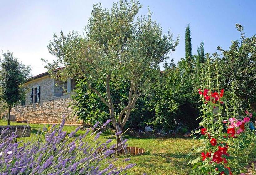 בית מלון כפרי Baladur