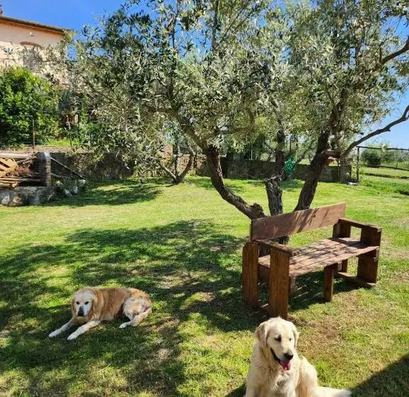 ホテル Podere Il Polveroso