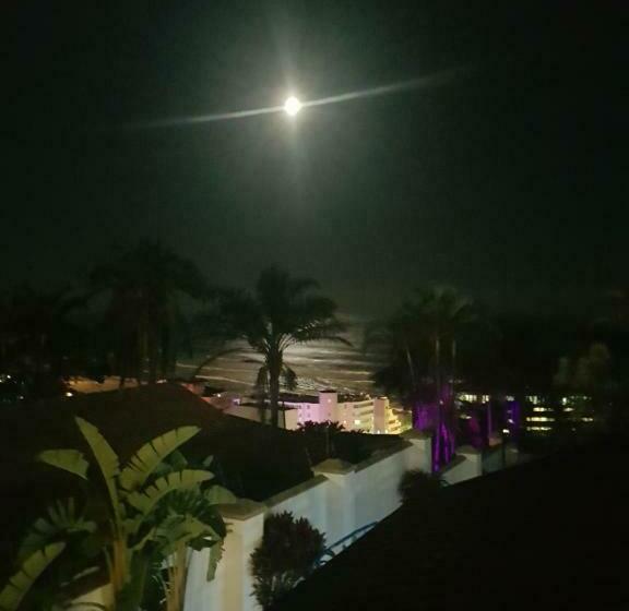 فندق Ingwe Manor Guesthouse