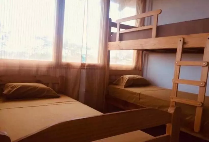 ベッドアンドブレックファースト Elysium