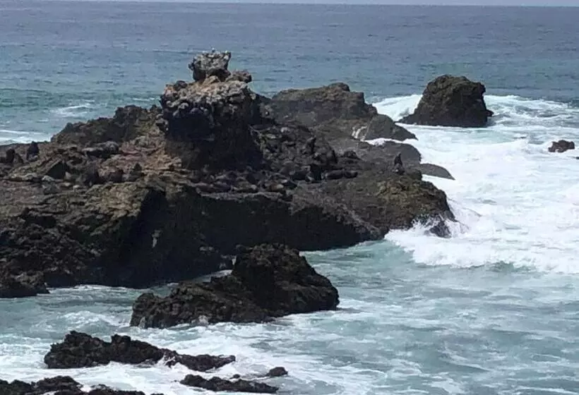 ベッドアンドブレックファースト Elysium