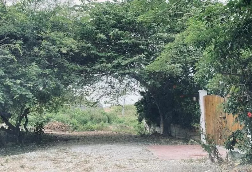 ベッドアンドブレックファースト Elysium