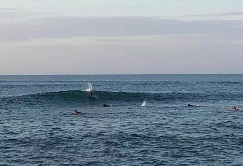 ベッドアンドブレックファースト Elysium