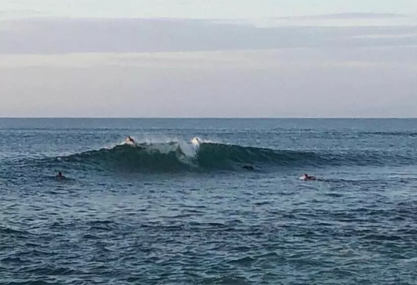 ベッドアンドブレックファースト Elysium