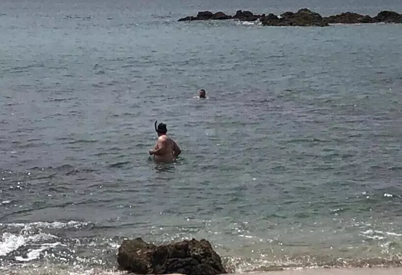 ベッドアンドブレックファースト Elysium