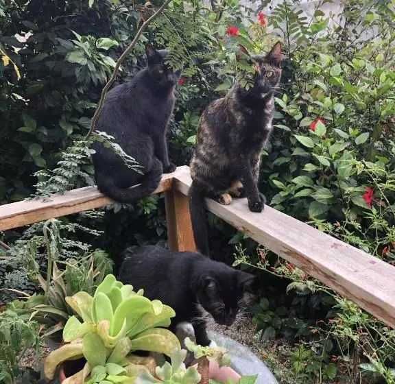 ベッドアンドブレックファースト Elysium