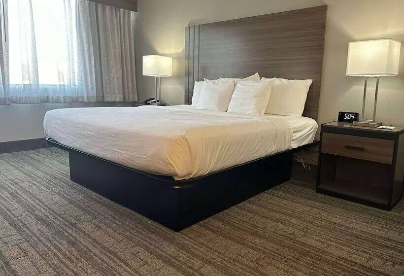 هتل Best Western Laurel