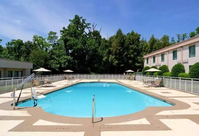 酒店 Comfort Inn Monticello Charlottesville