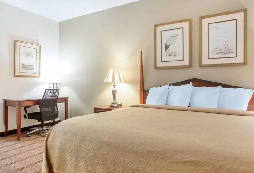 ホテル Comfort Inn & Suites Patriots Point