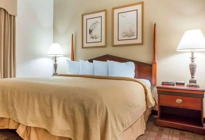 ホテル Comfort Inn & Suites Patriots Point