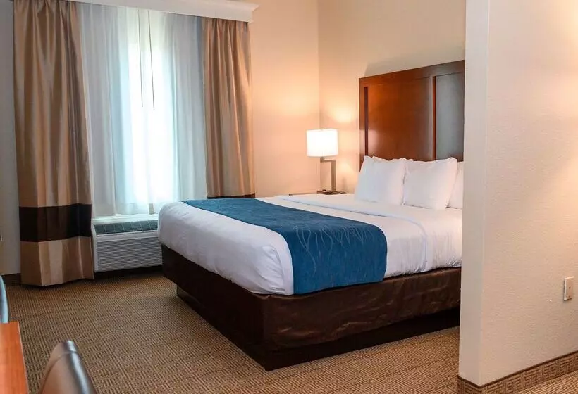 ホテル Comfort Inn & Suites Patriots Point