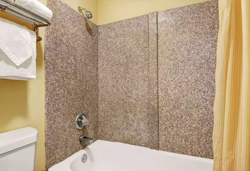 هتل Super 8 By Wyndham Nashville Near Downtown / I40