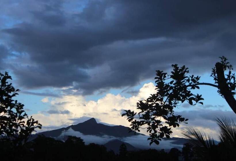 Bed and Breakfast Gerard Holiday Home