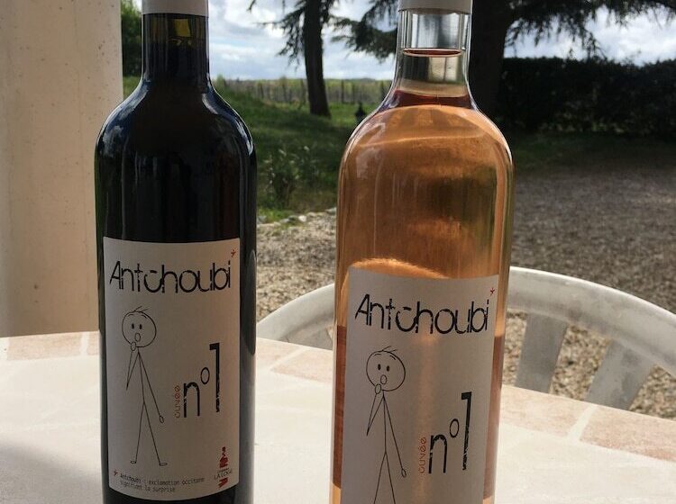 Bed and Breakfast Chateau La Loge