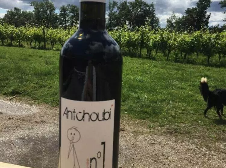 Aamiaismajoitus (B&B) Chateau La Loge