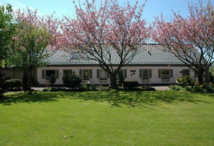 Bed and Breakfast Feriestedet Rønne