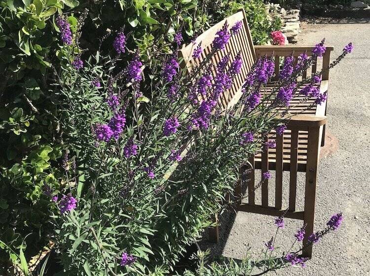 Cliff House Bed And Breakfast