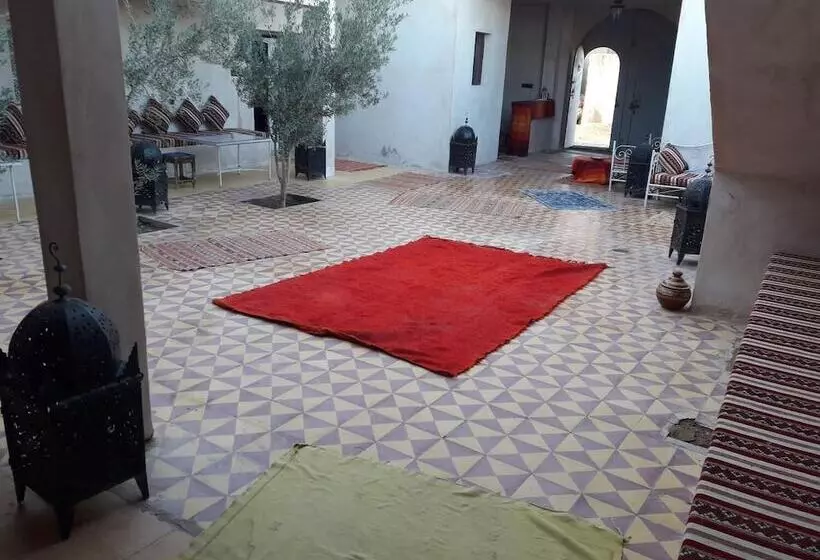 Majatalo Camels House