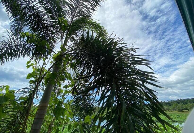 Vinewoods Resorts By Cocotel