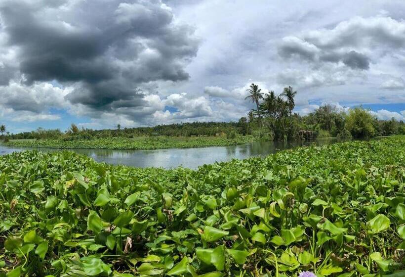 Vinewoods Resorts By Cocotel