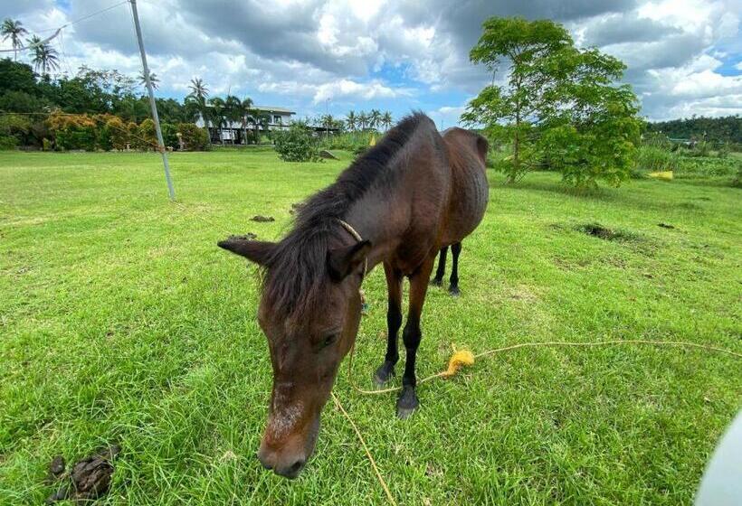 Vinewoods Resorts By Cocotel