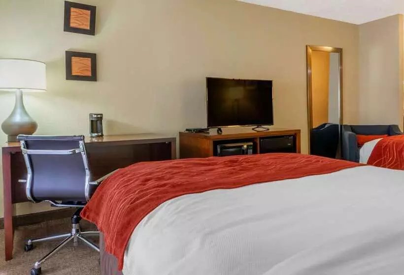 호텔 Comfort Inn Albuquerque Airport